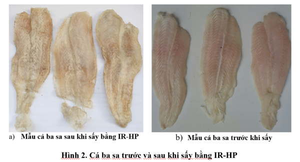 NGHIÊN CỨU XÁC ĐỊNH THÔNG SỐ THÍCH HỢP CHO CÁ BA SA SẤY DẺO BẰNG BƠM NHIỆT HỖ TRỢ HỒNG NGOẠI